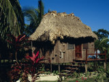 Typical Thatched Wooden Hut on the Island, Caye Caulker, Belize, Central America Photographie par Christopher Rennie