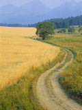 Winding Track, High Tatra Range, Poprad, Slovakia, Europe Photographie par Upperhall Ltd