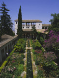 Gardens of the Generalife, the Alhambra, Granada, Andalucia (Andalusia), Spain, Europe Fotografie-Druck von Julia Thorne