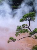 Blood Pond Hell (Chinoike Jigoku), Natural Hot Springs (Onsen), Beppu, Kyushu, Japan Fotografisk trykk av Steve Bavister Blood Pond Hell (Chinoike Jigoku), Natural Hot Springs (Onsen), Beppu, Kyushu, Japan Fotografisk trykk av Steve Bavister