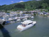 Yacht Entering Picton Marina, Picton, Marlborough, South Island, New Zealand, Pacific Fotografisk trykk av Jeremy Bright