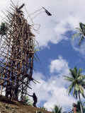 Silhouette of Diver, Land Diving, Pentecost Island, Vanuatu, Pacific Islands, Pacific Lámina fotográfica por Upperhall Ltd