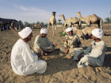 Traders Haggling, Darow Camel Market, Near Aswan, Egypt, North Africa, Africa Photographie par Upperhall Ltd