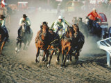 Chuck Wagon Race, Calgary Stampede, Alberta, Canada Photographic Print by Paolo Koch