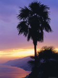 Sunset, Camogli, Looking West Along Portofino Peninsula, Liguria, Italy, Europe Photographic Print by Ruth Tomlinson Sunset, Camogli, Looking West Along Portofino Peninsula, Liguria, Italy, Europe Photographic Print by Ruth Tomlinson