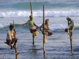 Stilt Fishermen, Weligama, Sri Lanka, Asia Lámina fotográfica por Upperhall Ltd