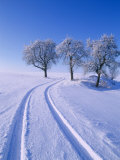 Landscape in Winter Photographie par Hans Peter Merten