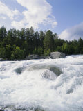 Buskerrud, River Near Gol, Norway, Scandinavia, Europe Photographie par Hans Peter Merten