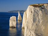 Handfast Point, Clifftop View Showing the Pinnacles, Early Morning, Studland, Dorset, England Fotografiskt tryck av Ruth Tomlinson Handfast Point, Clifftop View Showing the Pinnacles, Early Morning, Studland, Dorset, England Fotografiskt tryck av Ruth Tomlinson