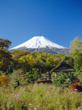 Mt. Fuji, Japan Photographie par Adina Tovy