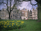 Begijnhof, Amsterdam, Holland (The Netherlands), Europe Fotografie-Druck von I Vanderharst