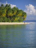 Beach at Pigeon Point on the Southwest Coast of the Island, Tobago, Caribbean, West Indies Photographic Print by Louise Murray