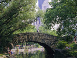The Pond, Central Park, New York, USA Photographic Print by I Vanderharst