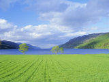 Loch Ness from the Western End, Highlands Region, Scotland, UK, Europe Photographic Print by I Vanderharst
