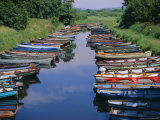 Boats, Killarney, County Kerry, Munster, Republic of Ireland (Eire), Europe Photographic Print by Firecrest Pictures