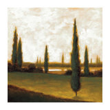 Afternoon Calm III Limited Edition by Mark St. John