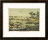 Animals and Plants of the Jurassic Era in Europe Framed Giclee Print by Ferdinand Von Hochstetter