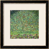 Apple Tree, 1912 Framed Giclee Print by Gustav Klimt