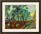 The Garden of St. Paul's Hospital at St. Remy, c.1889 Framed Giclee Print by Vincent van Gogh