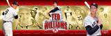 Ted Williams Photo
