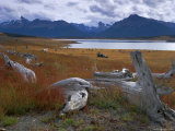 Lake Roca, Calafate Roca National Reserve, Patagonia, Argentina, South America Photographic Print by Derek Furlong