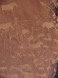 Rock Engravings, Twyfelfontein, Namibia, Africa Photographic Print by Rob Cousins