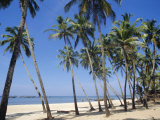 Palm Fringed Beach, Goa, India Photographic Print by Michelle Garrett