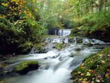 Stock Ghyll Beck, Ambleside, Lake District, Cumbria, England Photographie par Kathy Collins