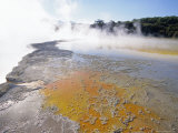 Champagne Pools Steaming, Waiotapu Thermal Reserves, Rotorua, North Island, New Zealand Photographic Print by Dominic Webster