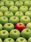 Single Red Apple Among a Number of Green Apples Photographic Print by John Miller
