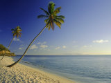 Darkwood Beach, Antigua, Caribbean, West Indies Photographic Print by John Miller Darkwood Beach, Antigua, Caribbean, West Indies Photographic Print by John Miller