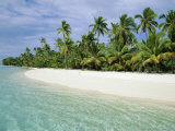 Palms, White Sand and Turquoise Water, One Foot Island, Aitutaki, Cook Islands, South Pacific Photographic Print by Dominic Webster