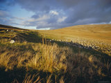 West Brewns, Black Mountains, Dyfed, Wales, UK, Europe Fotografisk trykk av David Beatty West Brewns, Black Mountains, Dyfed, Wales, UK, Europe Fotografisk trykk av David Beatty