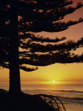 Sunrise, Pine Beach, Gisborne, East Coast, North Island, New Zealand, Pacific Photographic Print by Dominic Webster