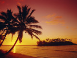 Silhouette of Palm Trees and Desert Island at Sunrise, Rarotonga, Cook Islands, South Pacific Photographic Print by Dominic Webster