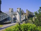 Conway Castle, Gwynedd, North Wales, UK Photographic Print by Nigel Francis