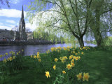 City in Spring, Perth, Perthshire, Tayside, Scotland, UK, Europe Photographie par Kathy Collins