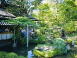 The Japanese Tea Garden, Golden Gate Park, San Francisco, USA Photographie par Fraser Hall