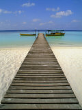 Embudu, South Male Atoll, Maldive Islands, Indian Ocean Photographie par Fraser Hall