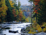 White Mountains National Forest, Near Jackson, New Hampshire, USA Photographie par Fraser Hall