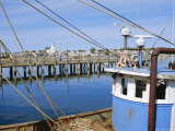 Macmillan Wharf, Provincetown, Cape Cod, Massachusetts, USA Photographie par Fraser Hall