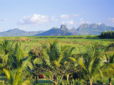 Mauritius, Scenic in the North West Region of the Island Photographie par Fraser Hall