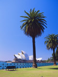 Sydney Opera House, Sydney, New South Wales, Australia Photographie par Fraser Hall