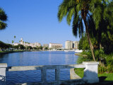 St. Petersburg, Florida, USA Photographie par Fraser Hall