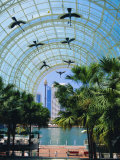 Harbourside Mall, Darling Harbour, Sydney, New South Wales, Australia Photographie par Fraser Hall