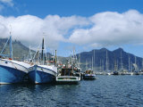 Hout Bay, Fishing Harbour, Near Cape Town, South Africa Photographie par Fraser Hall