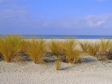 St. Pete's Beach, Florida, USA Photographie par Fraser Hall