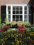 Window and Small Garden, Beacon Hill, Boston, Massachusetts, New England, USA Photographie par Fraser Hall