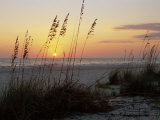 Sunset, Gulf Coast, Longboat Key, Anna Maria Island, Beach, Florida, USA Photographie par Fraser Hall