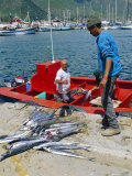Fisherman at Hout Bay, Cape Town, South Africa Photographie par Fraser Hall